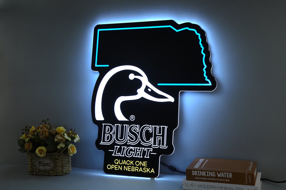 Hybrid neon and ultra-thin LED light box