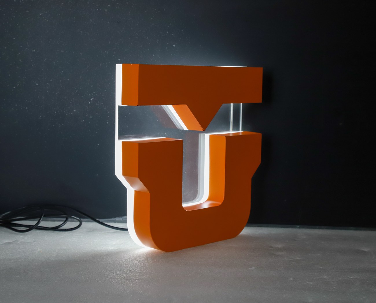Custom illuminated signage manufactured for a commercial project