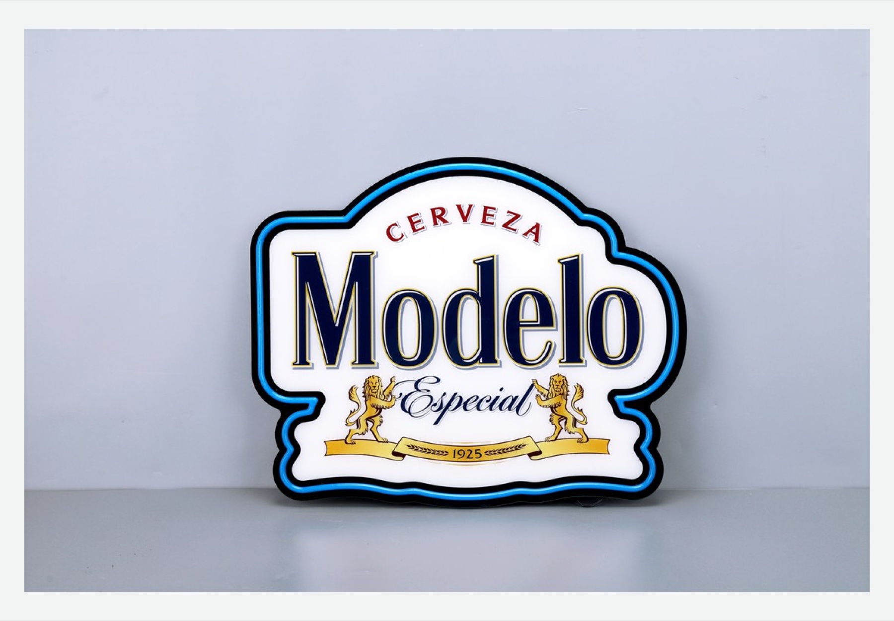 Custom shaped illuminated LED light box
